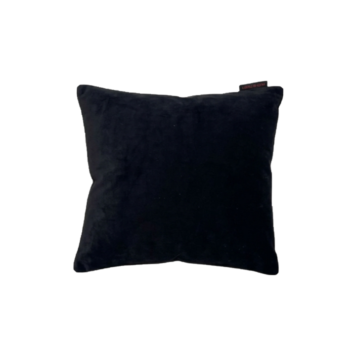 Cushion 40x40 CUS38