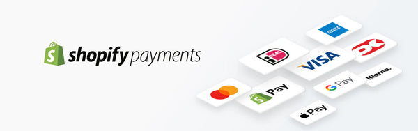 ONLINE SECURE PAYMENT